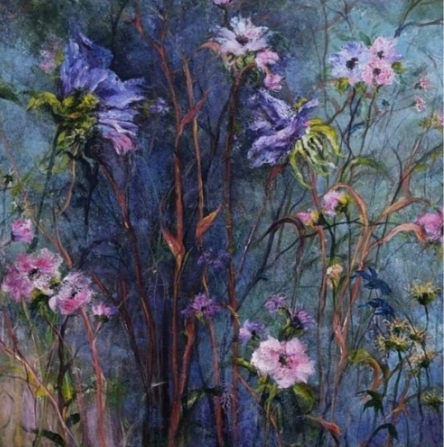 Morning glory 