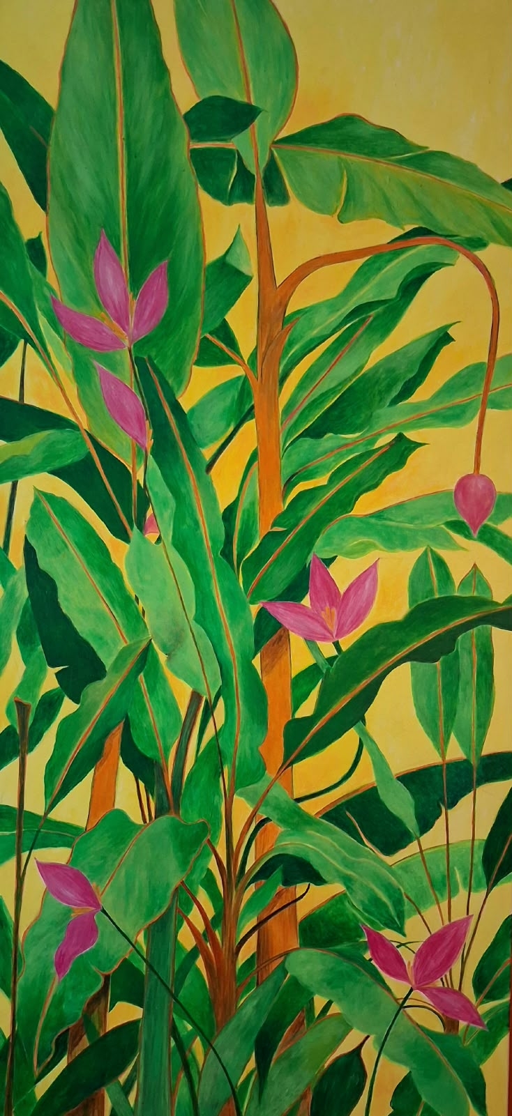 Pink Banana Flowers.